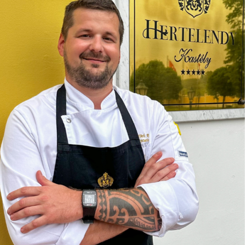 Chef De Cusine Hertelendy Castle